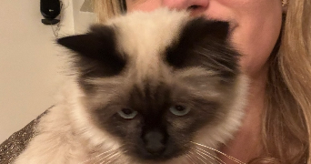 jade pet sitter à PARIS 15 75015_3