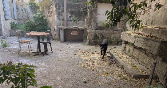 guerreiro viseu pet sitter à NIMES 30000_12
