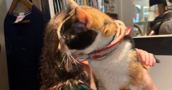 sarah pet sitter à PARIS 12 75012_4