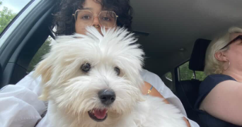 ella pet sitter à TOULOUSE 31000_1