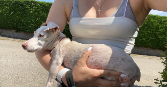 ilona pet sitter à ST LAURENT DE MURE 69720_2