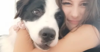 lola pet sitter à NIMES 30000_1