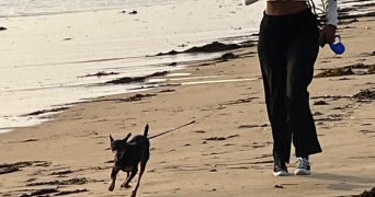 anaëlle pet sitter à BORDEAUX 33100_2