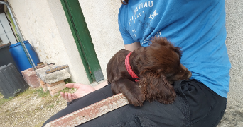 manfred pet sitter à PARIS 11 75011_2