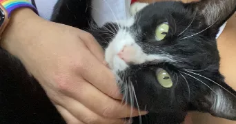 sandra pet sitter à LES BARILS 27130