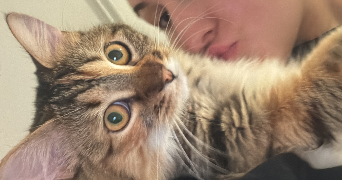 eva pet sitter à MONTIGNY LE BRETONNEUX 78180_1