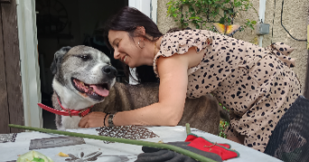 anais pet sitter à ST CHRISTOL LEZ ALES 30380_13