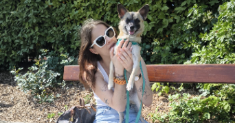 emma pet sitter à MONTMORENCY 95160_0