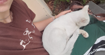 clarisse pet sitter à MAXEVILLE 54320_3