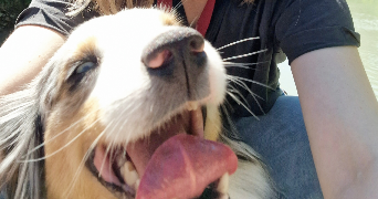 mélanie pet sitter à EYGUIERES 13430_1