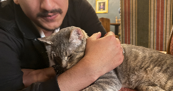 kevin pet sitter à LE PLESSIS ROBINSON 92350_4