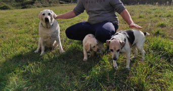 jade pet sitter à ST CLAR DE RIVIERE 31600_9