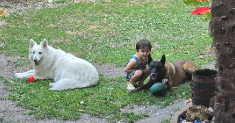 laura pet sitter à VINCENNES 94300_6