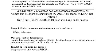 julie pet sitter à MONTGERMONT 35760_2