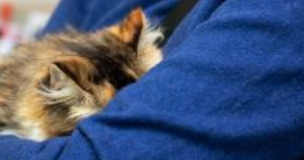 sophie pet sitter à CESSON SEVIGNE 35510_3