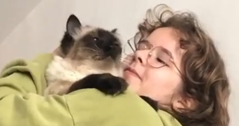 aïna pet sitter à MARSEILLE 01 13001_0