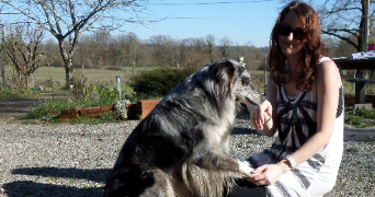 amandine pet sitter à BONREPOS SUR AUSSONNELLE 31470_1