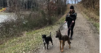 orea pet sitter à Montauban 82000