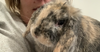séverine pet sitter à PONCHON 60430_7