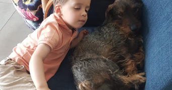 alice pet sitter à ST AUBIN DES COUDRAIS 72400_4