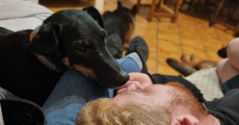 noelia pet sitter à GEMOZAC 17260_6