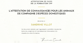 sandrine dog sitter à MENSIGNAC 24350_9