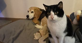 megane pet sitter à CLERMONT FERRAND 63000_3