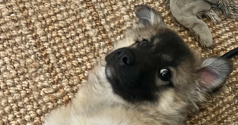 estelle pet sitter à MARSEILLE 01 13001_5