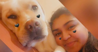 nabiya pet sitter à GRAND AIGUEBLANCHE 73260_0