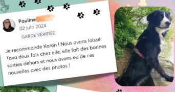 karen pet sitter à MAYENNE 53100_2