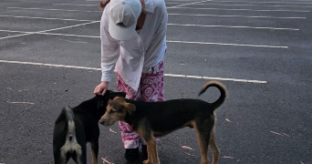 emilie pet sitter à RUEIL MALMAISON 92500_0