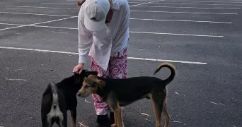 emilie pet sitter à RUEIL MALMAISON 92500