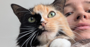 louise pet sitter à LES SABLES D OLONNE 85100_1