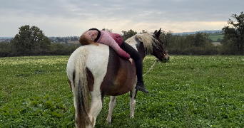 jade pet sitter à ST ETIENNE 42000_2