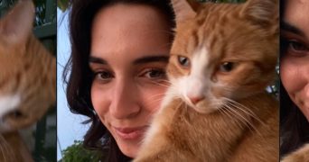 fanny pet sitter à NIORT 79000_0