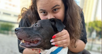inès pet sitter à VILLEURBANNE 69100_0