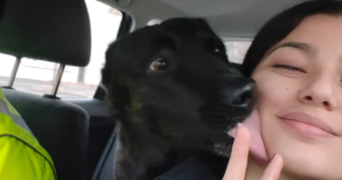 asly pet sitter à CHATEAUROUX 36000_1