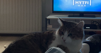 baptiste pet sitter à MONTPELLIER 34000_1