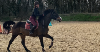 annabelle pet sitter à POITIERS 86000_9