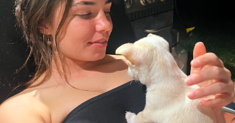 flavie pet sitter à CUSSET 03300_3