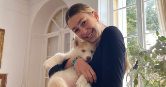 ambre pet sitter à LIBOURNE 33500_0