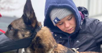 naïs pet sitter à NOYAL SUR VILAINE 35530_6