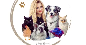 wendy pet sitter à ST MAGNE 33125