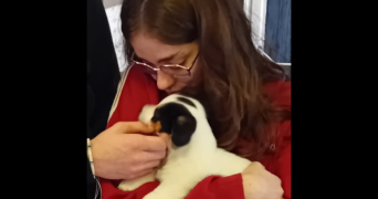 lilou pet sitter à BURES SUR YVETTE 91440