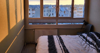 ilona pet sitter à LYON 07 69007_3