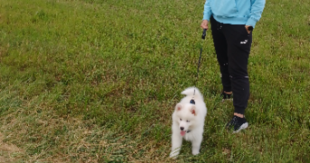 maria pet sitter à SARRE UNION 67260_1