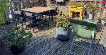 delphine pet sitter à COMBS LA VILLE 77380_1