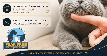 audrey pet sitter à NICE 06300_3