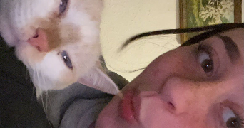 lou pet sitter à HIPSHEIM 67150_0
