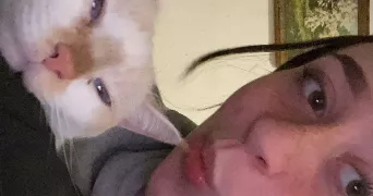lou pet sitter à HIPSHEIM 67150